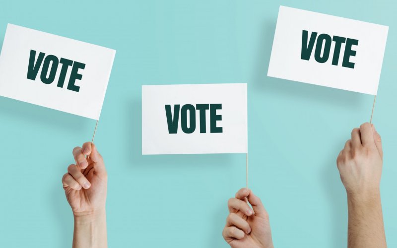 Image of signs saying 'vote'