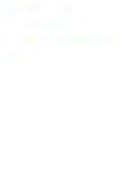 Graduation ceremony at the Dublin Convention Centre